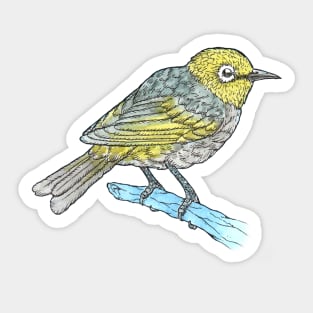 Silvereye Sticker